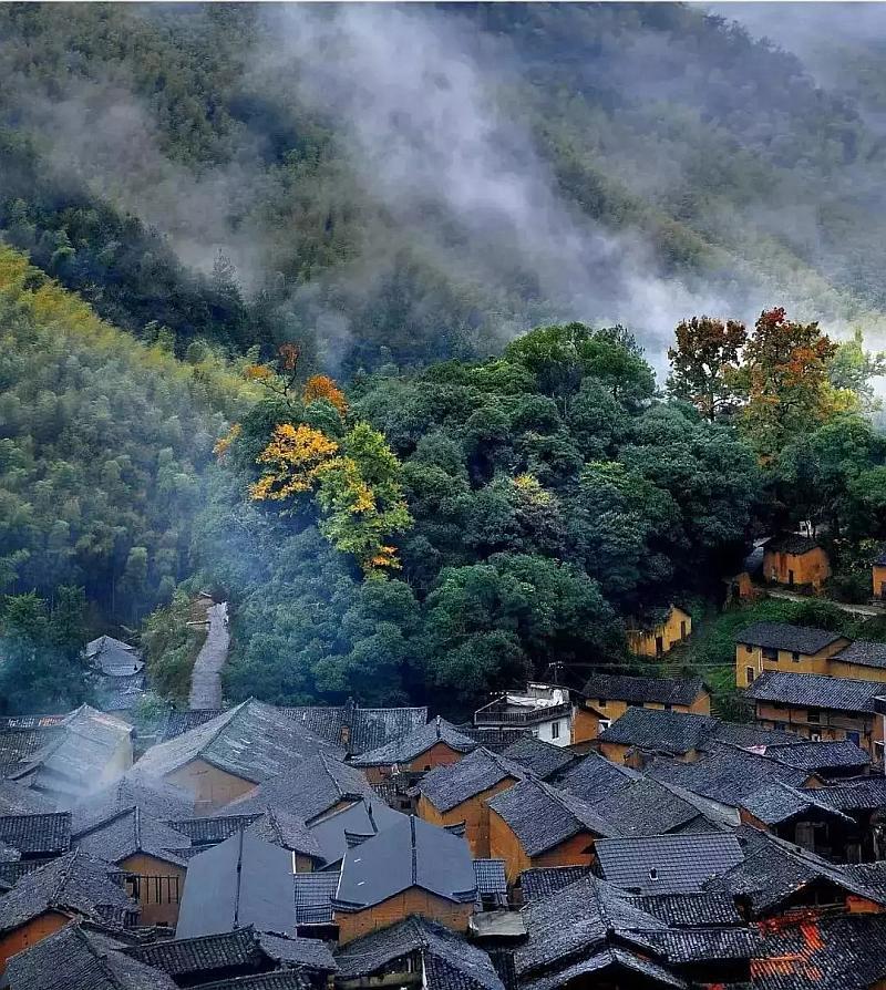 植物大战僵尸11