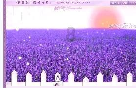 老婆说她第一次,为什么没有血呢?红迪网——一个汇聚你所需的全新社区