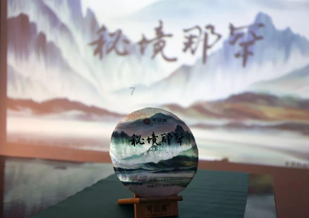 重生之星途璀璨