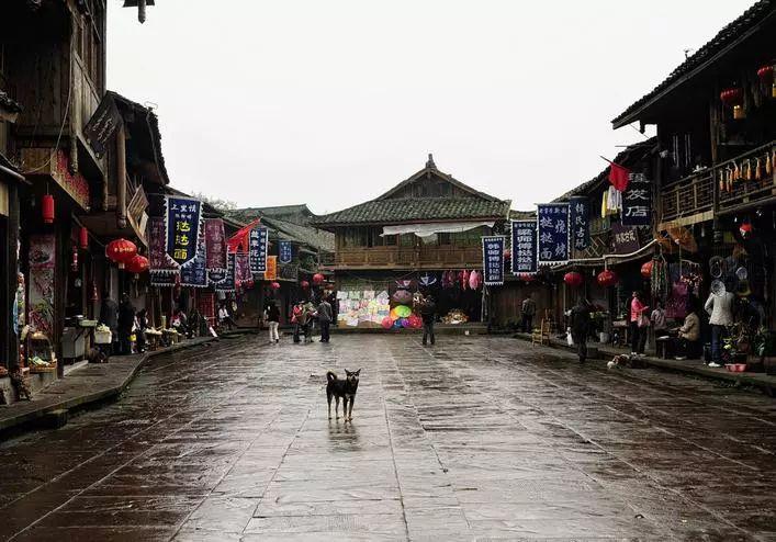 植物大战僵尸：花园战争